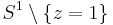 S^{1}\setminus \{z=1\}