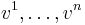 v^1,\dots,v^n