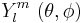 Y_l^m\, \left ( \theta , \phi \right )