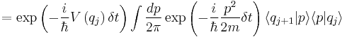 
 =
\exp\left( {- {i \over \hbar } V \left( q_j \right) \delta t} \right)
 \int { dp \over 2\pi } \exp\left( {- {i \over \hbar } { { p}^2 \over 2m} \delta t} \right) \langle q_{j%2B1}   |p\rangle \langle p |q_j\rangle
