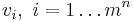 v_i, \ i=1 \ldots m^n