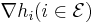 \nabla h_i (i\in\mathcal{E})