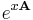 e^{x \mathbf{A}}