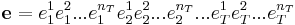 \mathbf{e} = e_1^1e_1^2...e_1^{n_T}e_2^1e_2^2...e_2^{n_T}...e_T^1e_T^2...e_T^{n_T}