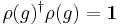 \rho(g)^\dagger \rho(g)=\mathbf{1}\,