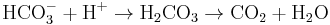 \rm HCO_3^- %2B H^%2B \rightarrow H_2CO_3 \rightarrow CO_2 %2B H_2O