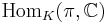  \mathrm{Hom}_K(\pi, \mathbb{C}) 