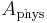  A_{\mathrm{phys}}