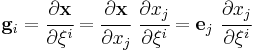 
   \mathbf{g}_i = \cfrac{\partial\mathbf{x}}{\partial\xi^i} =  \cfrac{\partial\mathbf{x}}{\partial x_j}~\cfrac{\partial x_j}{\partial\xi^i} = \mathbf{e}_j~\cfrac{\partial x_j}{\partial\xi^i} 
 