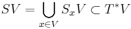 SV = \bigcup_{x \in V}S_xV \subset T^*V