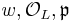 w, \mathcal O_L, \mathfrak p