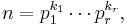 n = p_1^{k_1} \cdots p_r^{k_r}, 