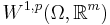 W^{1,p}(\Omega, \mathbb{R}^m)