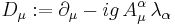  D_\mu�:= \partial_\mu - i g \, A_\mu^\alpha \,  \lambda_\alpha 