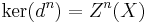 \ker(d^n) = Z^n(X)