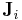 \mathbf{J}_i