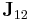 \mathbf{J}_{12}