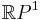 \mathbb{R}P^1