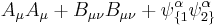 A_\mu A_\mu %2B B_{\mu \nu}B_{\mu \nu} %2B \psi_{\{1}^\alpha \psi_{2\}}^\alpha