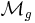 \mathcal{M}_{g}