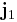 \mathbf{j}_1