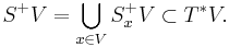 S^%2BV = \bigcup_{x \in V}S^%2B_xV \subset T^*V.