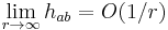 \lim_{r \rightarrow \infty} h_{ab} = O(1/r)