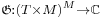 \scriptstyle\mathfrak{G}:{{(T\times M)}^M}\rightarrow\mathbb{C}