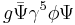 g \bar \Psi \gamma^5 \phi \Psi