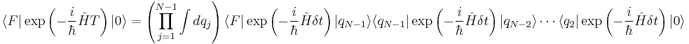 
 \langle F | \exp\left({- {i \over \hbar } \hat H T}\right) |0\rangle =
\left( \prod_{j=1}^{N-1} \int dq_j \right)
\langle F | \exp\left( {- {i \over \hbar } \hat H \delta t} \right)
 |q_{N-1}\rangle \langle q_{N-1} |
\exp\left( {- {i \over \hbar } \hat H \delta t} \right) |q_{N-2}\rangle 
 \cdots
  \langle q_{2} | \exp\left( {- {i \over \hbar } \hat H \delta t} \right) |0\rangle
