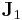 \mathbf{J}_1