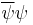 \overline{\psi}\psi\,