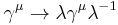 \gamma^\mu \to \lambda \gamma^\mu \lambda^{-1}