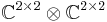  \mathbb{C} ^{2 \times 2} \otimes \mathbb{C}^{2 \times 2} 