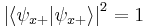 \left\vert \langle \psi_{x%2B} \vert \psi_{x%2B} \rangle \right\vert ^2 = 1 