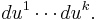 du^1 \cdots du^k.