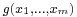 \scriptstyle g (x_1,\dots, x_m)