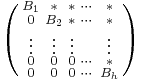  \left( \begin{smallmatrix}
B_1 & * & * & \cdots & * \\
0 & B_2 & * & \cdots & * \\
\vdots & \vdots & \vdots &  & \vdots \\
0 & 0 & 0 & \cdots & * \\
0 & 0 & 0 & \cdots & B_h
\end{smallmatrix}
\right)