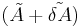 (\tilde{A}%2B\tilde{\delta A})