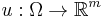 u:\Omega \to \mathbb{R}^m