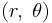 (r,\ \theta)