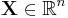 \mathbf{X} \in \mathbb{R}^{n}