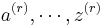 a^{(r)}, \cdots, z^{(r)}