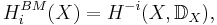 \  H^{BM}_i (X)=H^{-i} (X,\mathbb{D} _X), 