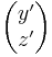 \begin{pmatrix} y'\\z' \end{pmatrix}