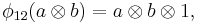 \phi_{12}(a \otimes b) = a \otimes b \otimes 1,