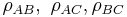 \rho_{AB}, \ \rho_{AC}, \rho_{BC} 