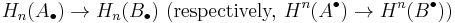 H_n(A_\bullet) \to H_n(B_\bullet)\ (\text{respectively, } H^n(A^\bullet) \to H^n(B^\bullet))\ 