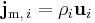 \bold{j}_{{\rm m}, \, i} = \rho_i \mathbf{u}_i 