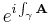 e^{i \int_\gamma \mathbf A}